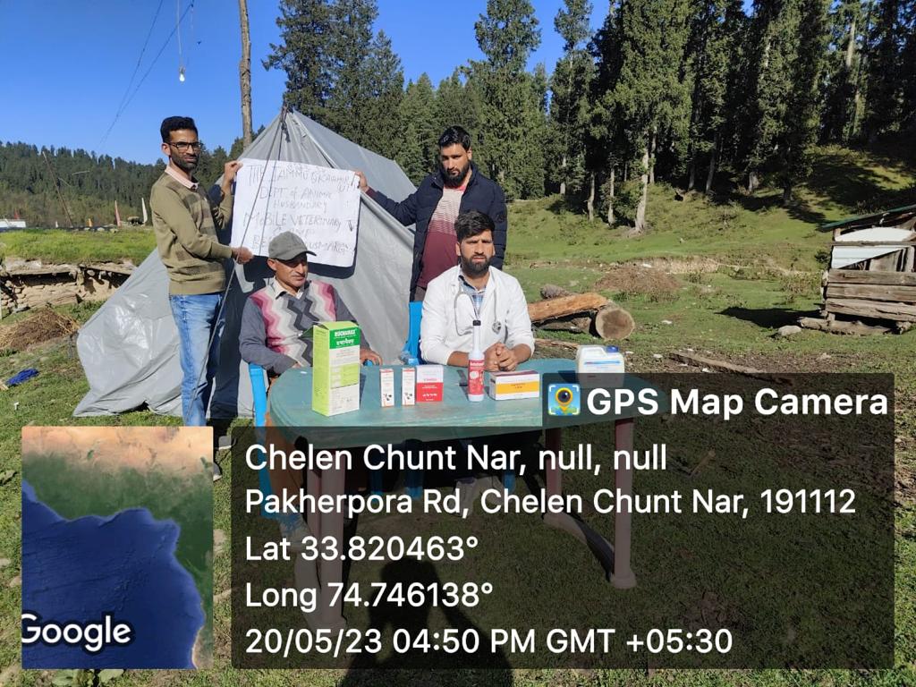 ChiefBudgam's tweet photo. Mobile Veterinary Camps for Migratory Livestock established at Highland/ Alpine Pastures (Bahaks) by Department of Animal Husbandry Budgam @DC_Budgam   @ahdkashmir https://t.co/2R4KZKb81e