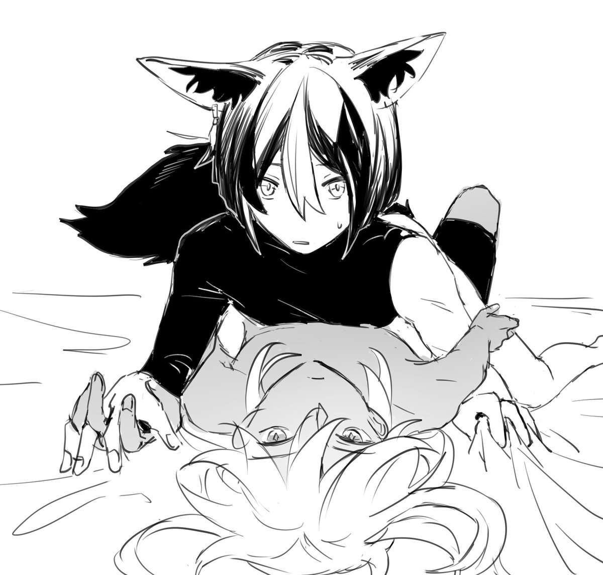 セノナリ 