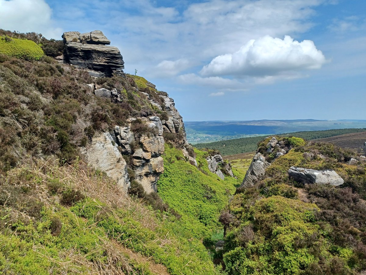 One of my favourite walks in Northumberland - Simonside Hills today #simonside #simonsidehills #Northumberland #northumberlandnationalpark @NlandNP