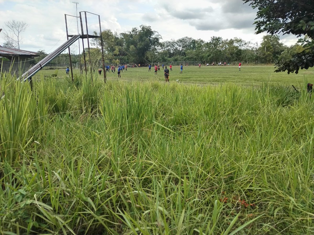 AlcaldiadeBaru's tweet photo. La alcaldía de Barú, procedió a mejorar un terreno de un parque de recreación que se encontraba en total abandono, en la comunidad de Kilómetros 32, corregimiento de Progreso. Hoy domingo, se realiza las labores, para tal fin. https://t.co/dXj9sa83I4
