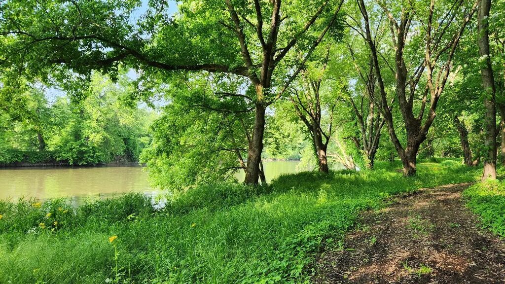 Have you been to Old Town Waverly Park lately?  Here's a look at some of the lesser-known features of the park - the newer natural surface loop, the giant boulder, and one of the mural walls!

#thisismorganco #visitindiana #whiteriver #getoutside #onthet… instagr.am/p/CsgotDgOByl/