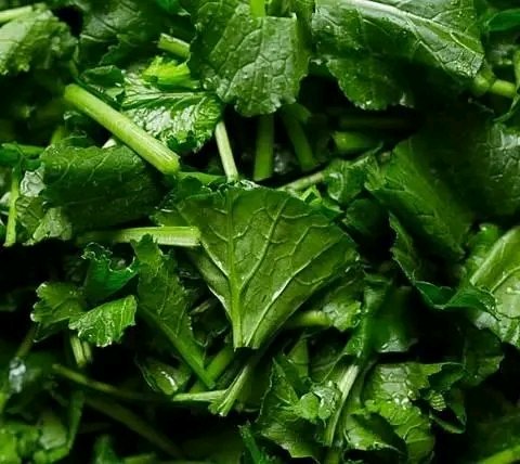 •Eat greenVegetables to protect  against Cancer.

~Make it a habit to eat green vegetables, notably green leafy  vegetables.They exhibit extraordinarily broad anticancer powers.Recent scientific studies have shown striking protection from the frequent consumption of green