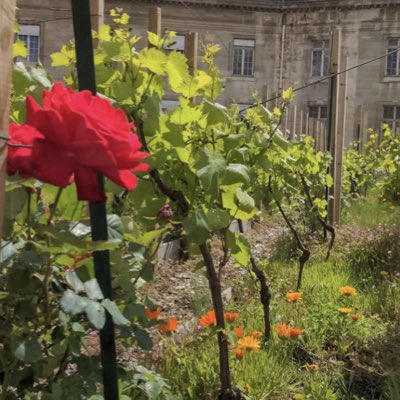 UrbAgri's tweet photo. #NouvellePhotoDeProfil https://t.co/CkImHFG6RE