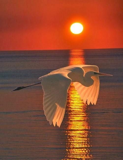 A fantastic sun 🔆 set view.from this side 💯💯.
Hbd loading ✅✅✅