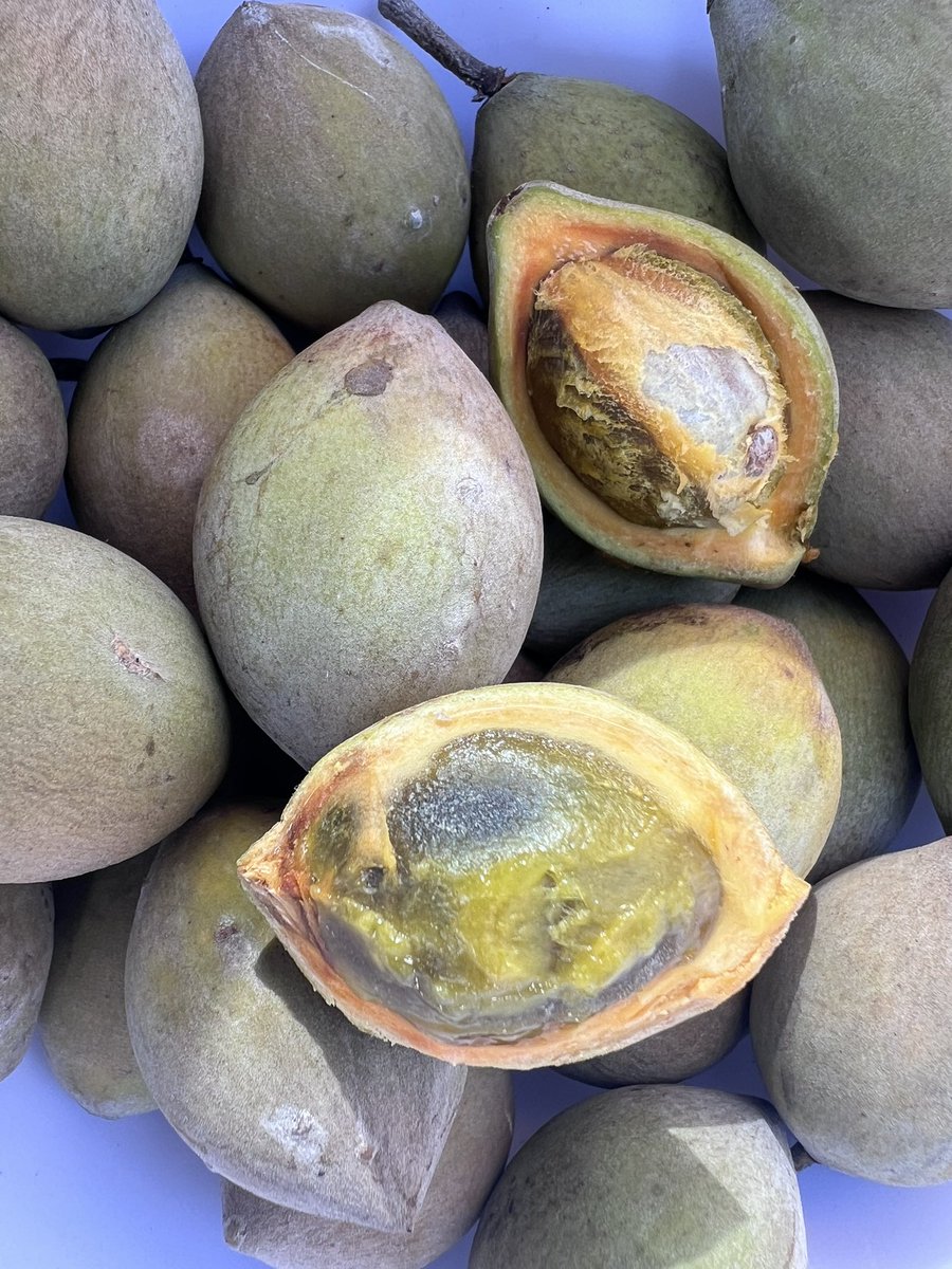 Frutas de Colombia on Twitter "Pertenece a la familia de las