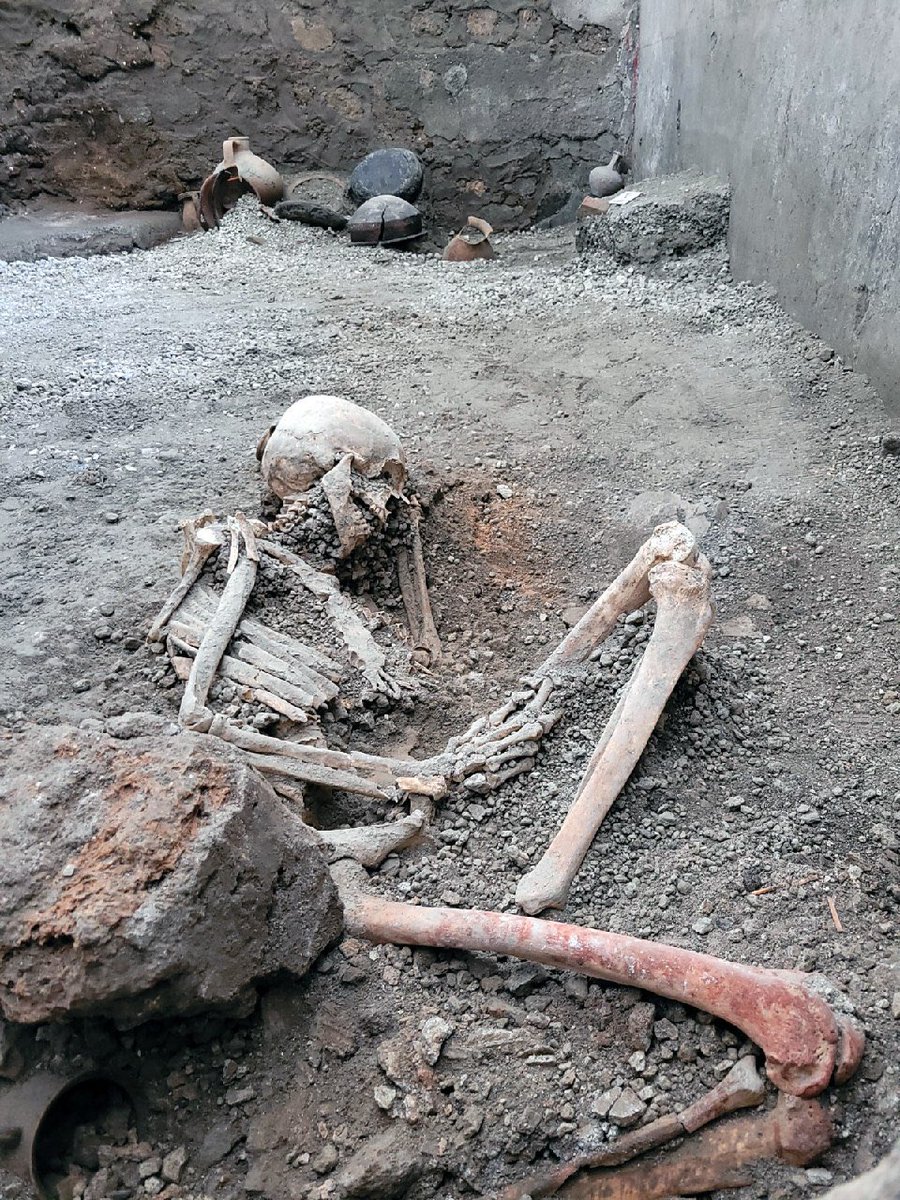 No solo la erupción del Vesubio mató a los pompeyanos…

Las excavaciones más recientes de Pompeya nos sorprenden con el hallazgo de los cuerpos de dos personas que no murieron arrasadas por el flujo piroclástico del volcán.

Sígueme en este #HiloRomano para saber qué les ocurrió