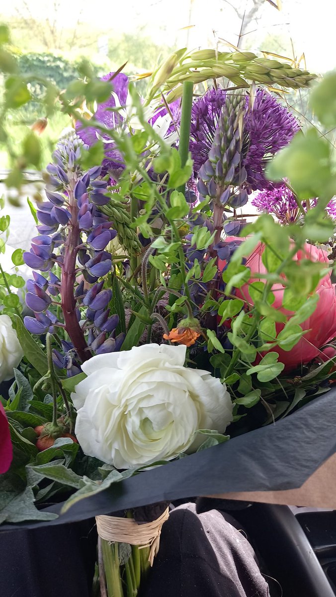 Rachel Goodfellow tweet media