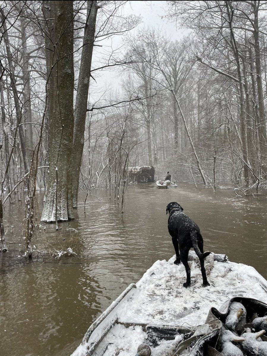 Cade Qualls tweet media