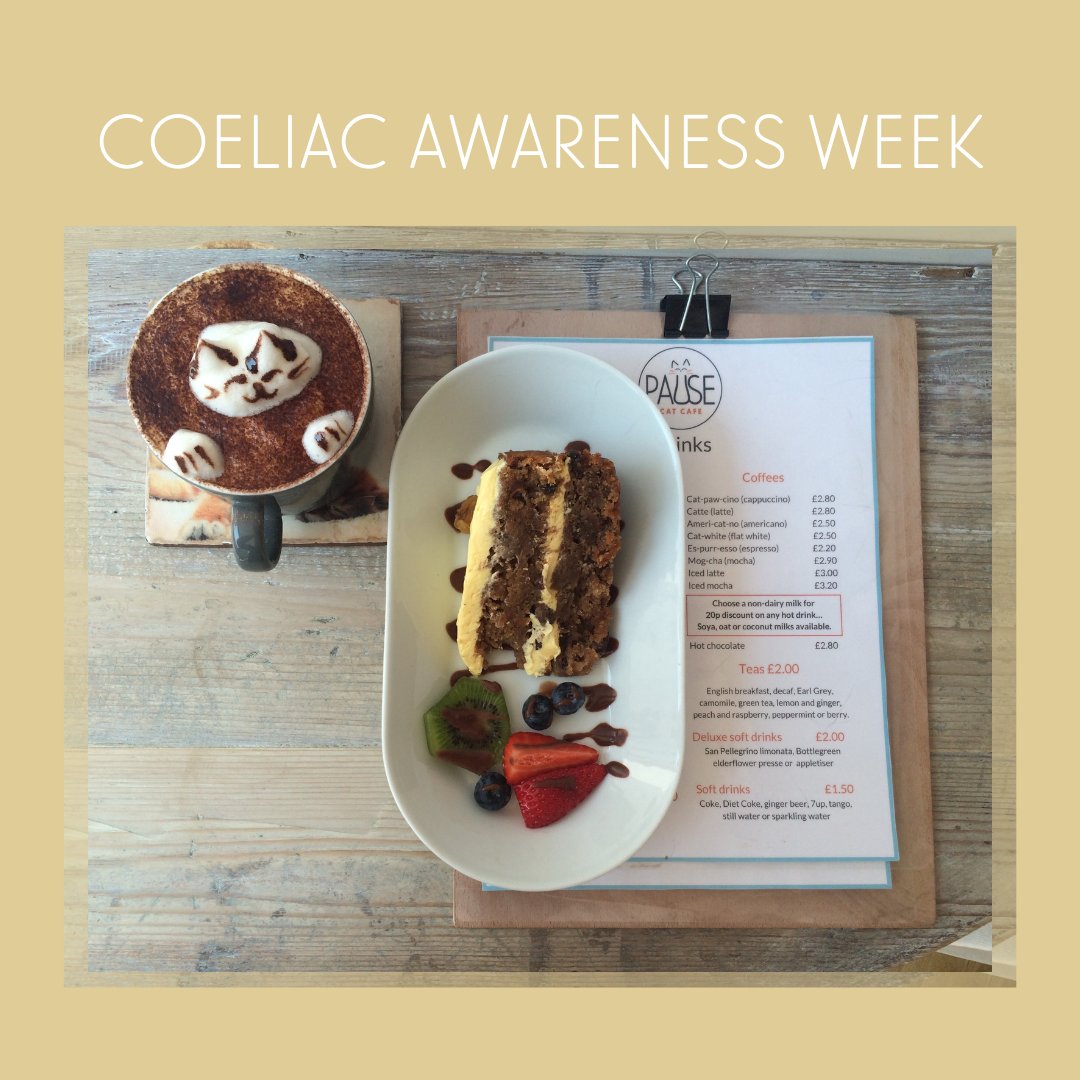 Pause Cat Cafe tweet media