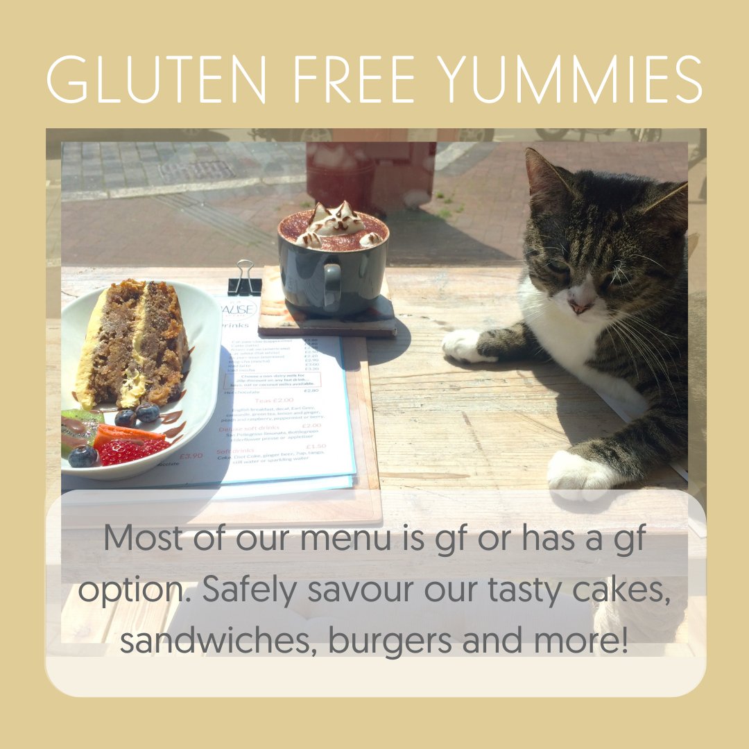 Pause Cat Cafe tweet media