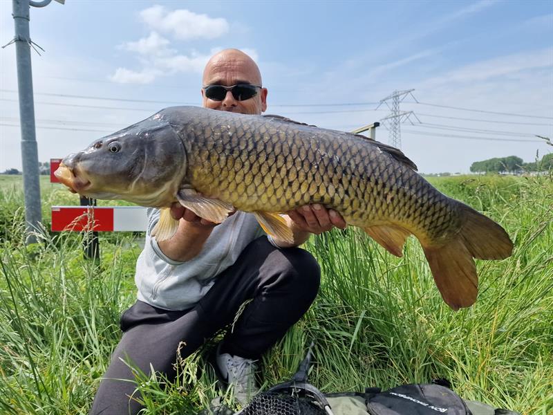 Vangstenregistratie.nl tweet media