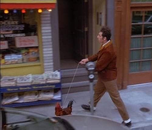 casualseinfeld's tweet photo. https://t.co/wNYQ0Tb8Er