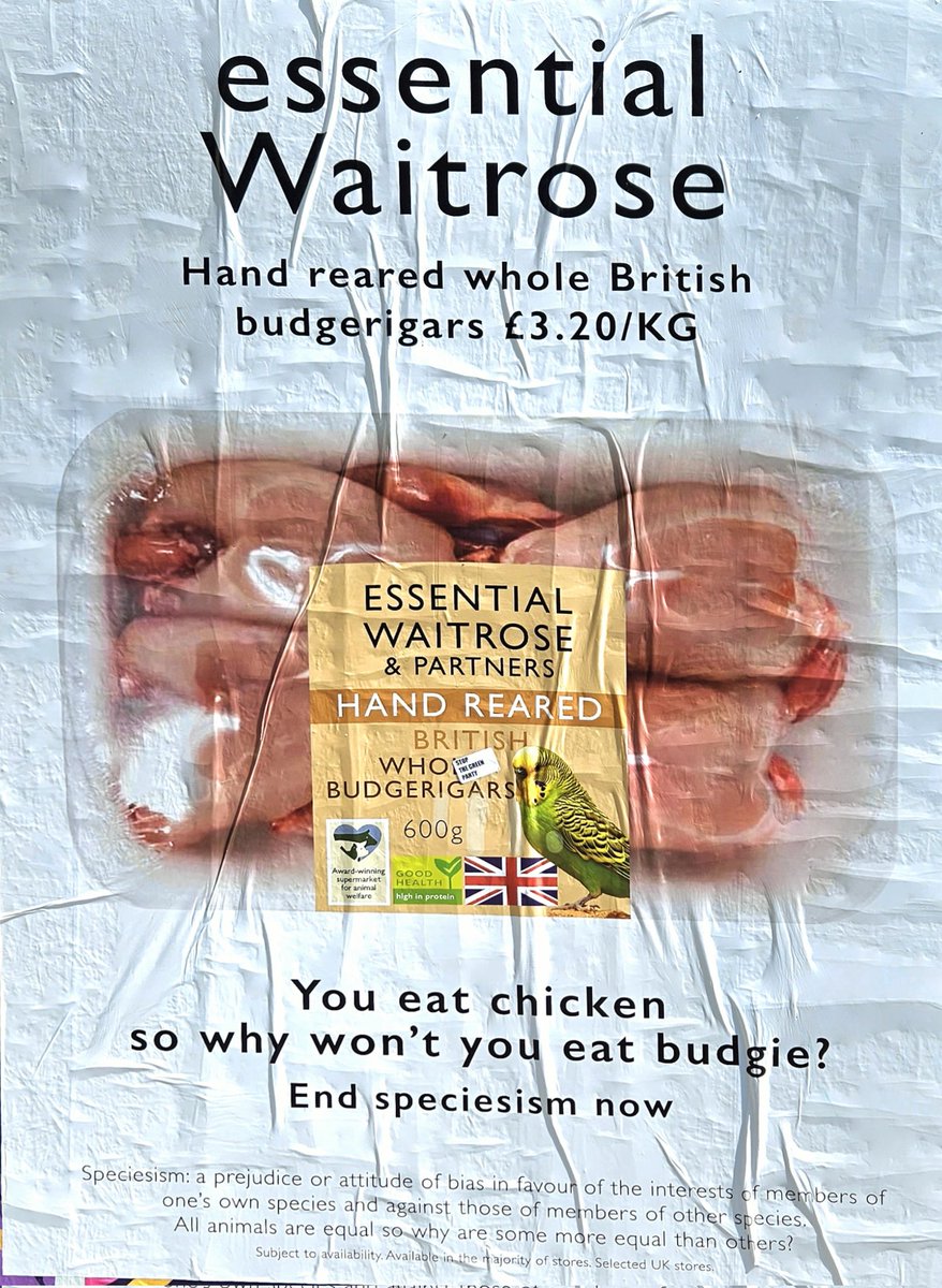 New from Waitrose!