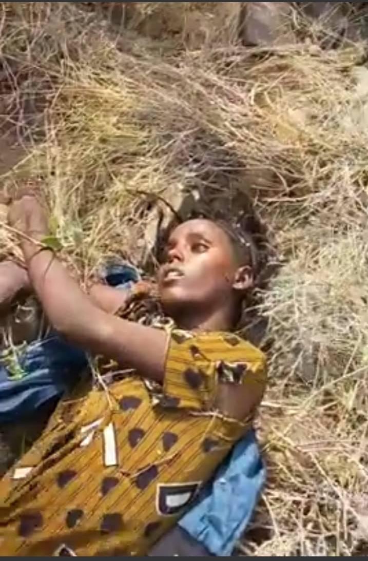 berry__of's tweet photo. #ጊዜ #ፍረደና #ምዕራፍ #ካሓስና💔
ፈተና  ክነቅልል ሽክሚ ብድሆና
ብዋሕዚ ክነዕቁብ ሕፍኒ ከንስና
ብጌጋ ብልጫ ብህርፋን ዝካዕበተ
ስጉሚ ምሉእ እግሪ ከይተፍሓኹና ታተ
_
_
ደርጓዕጓዕ ኣልሻ ዓይነ ዕሙት ጉዕዞ
ህድማ ሃታሃታ ጎበዝ ይኹን ጎርዞ
ዝተኾልፈ ስድሪ ስኣን ሓድሽ ምህዞ
ባና ከይርኣና ግስሞ ዳኛ ዘይብሉ ሞት መን ይሓዞ
_
_
ፈተና ክፍትን ኣብቲ ሓያል ግጥም ከም ሕሱም ደኪሙ
ሩፍታ እናፀምአ ዕረፍቲ ክደሊ ኣብ ባሕሪ ሰጢሙ
ዘይበልየላ ሓብተይ  ኣብቲ ጨውታ ቦታ ረኪበያ
ተጋዲማ
ኣምሊጣ እናበልኩስ ንሳ' ውን ኣክቲማ
@reda_getachew @Tmhtvnews @Alena____A @Irobta22A @GFenkil @NatsnetTigray1 @MeriHaliay7 @AzebAz6 @AlumaAlumaa @Alemmez