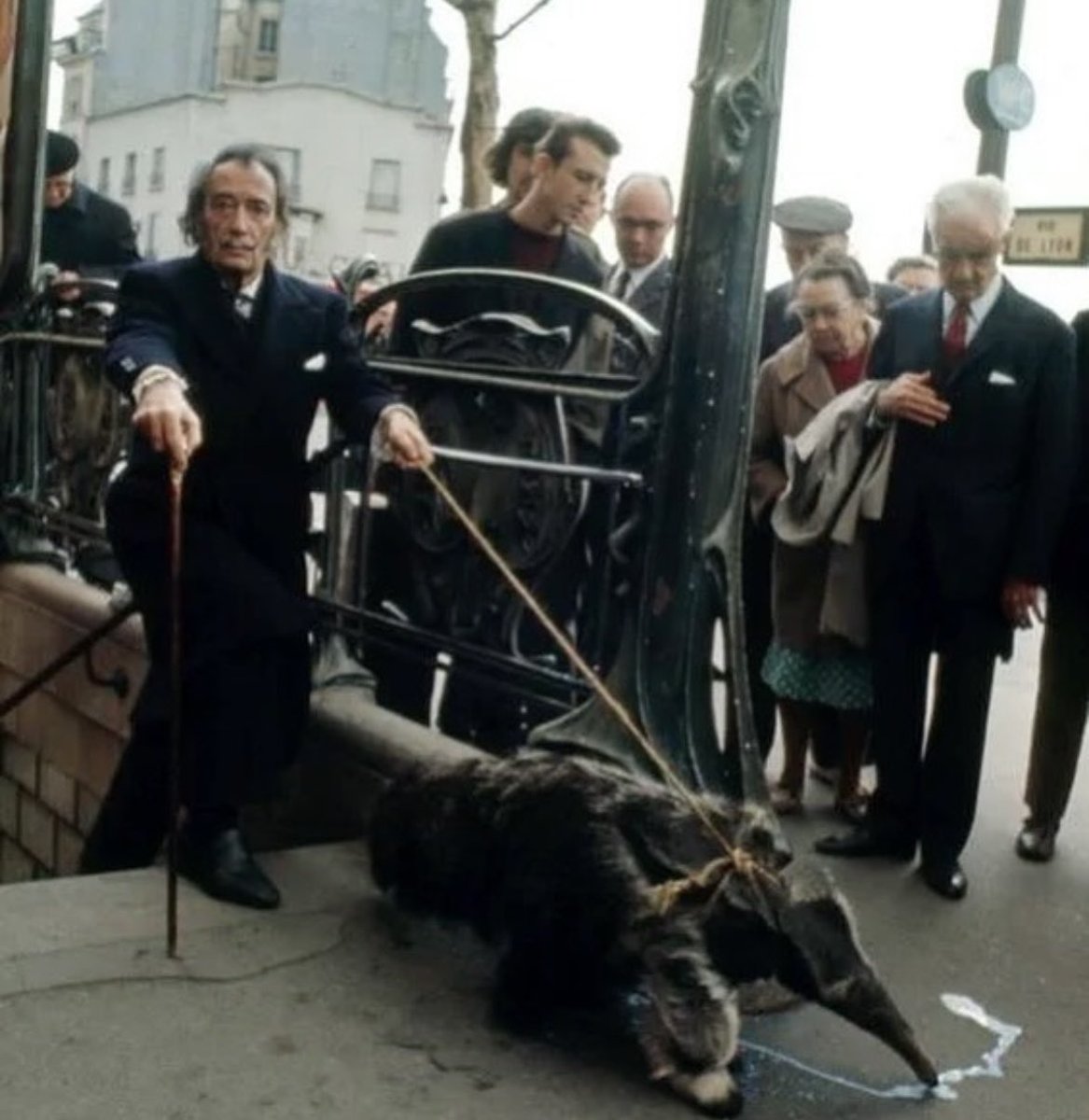 Salvador Dalí walking his pet anteater in Paris, 1969

Salvador Dalí, the renowned surrealist artist, had a penchant for the unconventional in both his artwork and personal life. One of his most peculiar choices was his pet anteater, which became a symbol of his eccentricity and