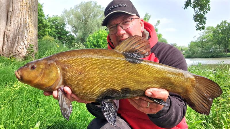 Vangstenregistratie.nl tweet media