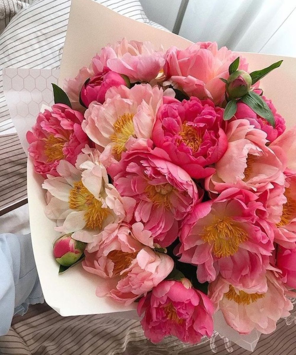 ciceklendirdik's tweet photo. 💐🌺 https://t.co/KK5B5VU21c
