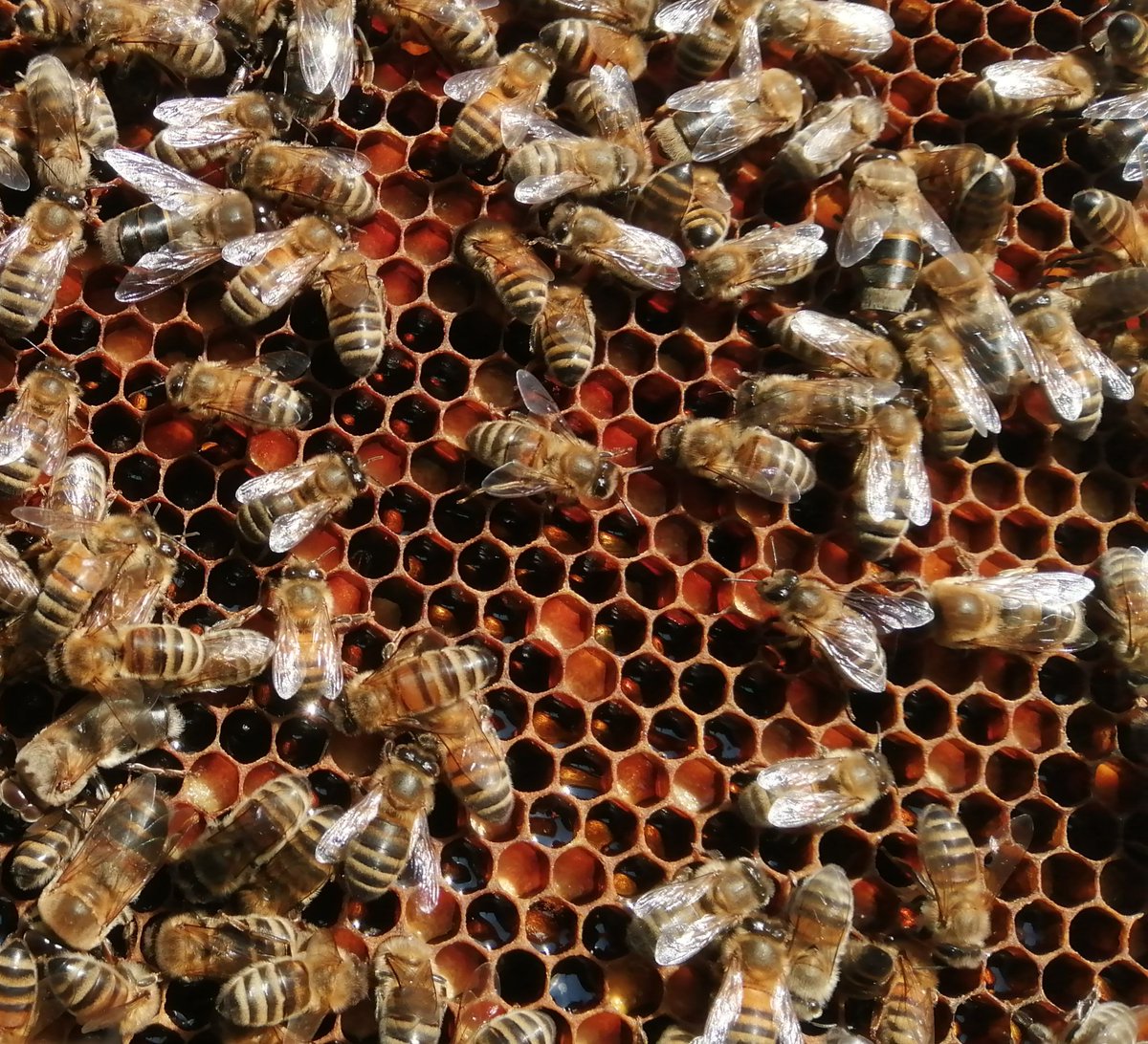 Tim Hewer tweet media