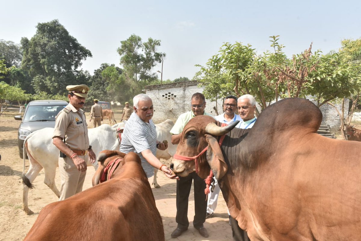 ChiefSecyUP's tweet image. मैंने संस्थान में उनकी अन्य गतिविधियों जैसे प्रशिक्षण केंद्र, पुस्तकालय, जैविक शाक-भाजी बाजार, गौशाला, बाग-बगीचा, आवासीय कॉलोनी आदि का भी भ्रमण किया। देख कर अच्छा लगा की कैसे यह संस्थान लोगों को स्वास्थ्यप्रद व तनावमुक्त बनाकर एक नए भारत के निर्माण में सक्रिय योगदान दे रहा है।