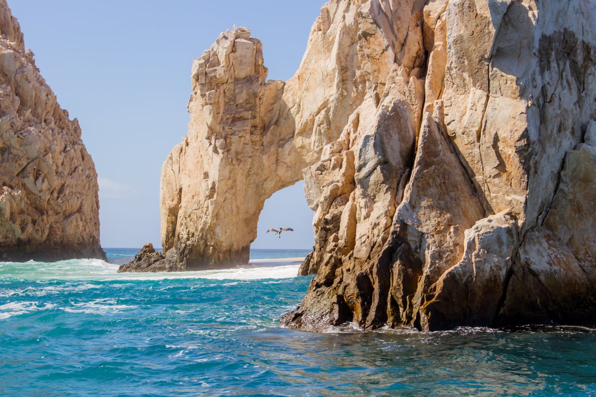 CasaDoradaCabo's tweet photo. Jump into the 💙 & feel the liberating breeze at the #CaboArch! 🌊 Lose yourself in the beauty of the #SeaOfCortez, a must-see when visiting #Paradise, don't miss out!
Just a click to enjoy it ⚡https://t.co/yRAzxEieIG ⚡
.
.
.
#jumpinto #casadoradacabo #cabosanlucas #loscabos https://t.co/yIpbC1kmXZ