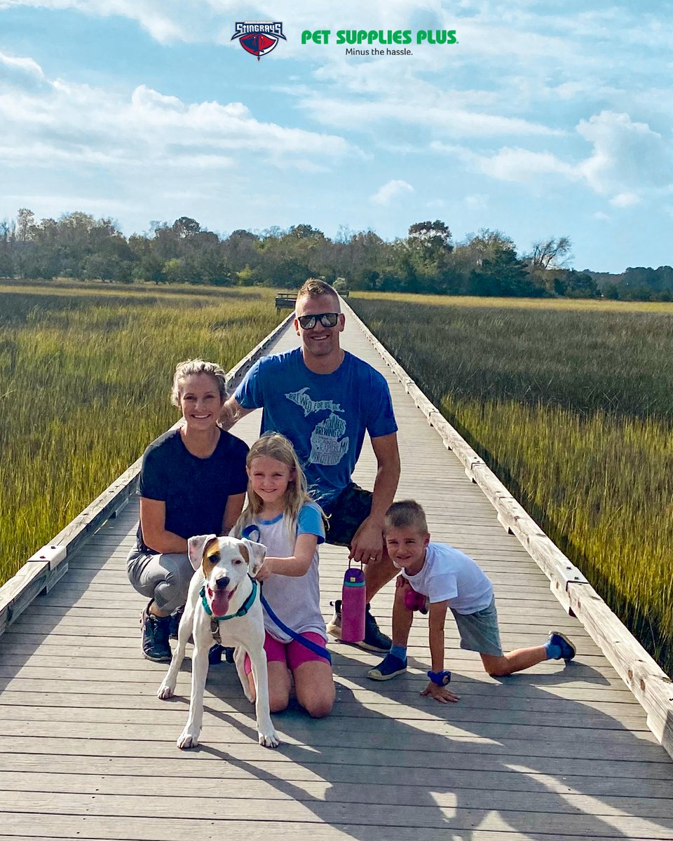 SCStingrays's tweet photo. Patches and the Florek family are looking forward to the summer time in the Lowcountry! ☀️🌾

Like and RT for a chance to win a Pet Supplies Plus gift card and a discount dog wash card! 🐶 #PlayersBestFriend https://t.co/nBWBj7HW9z