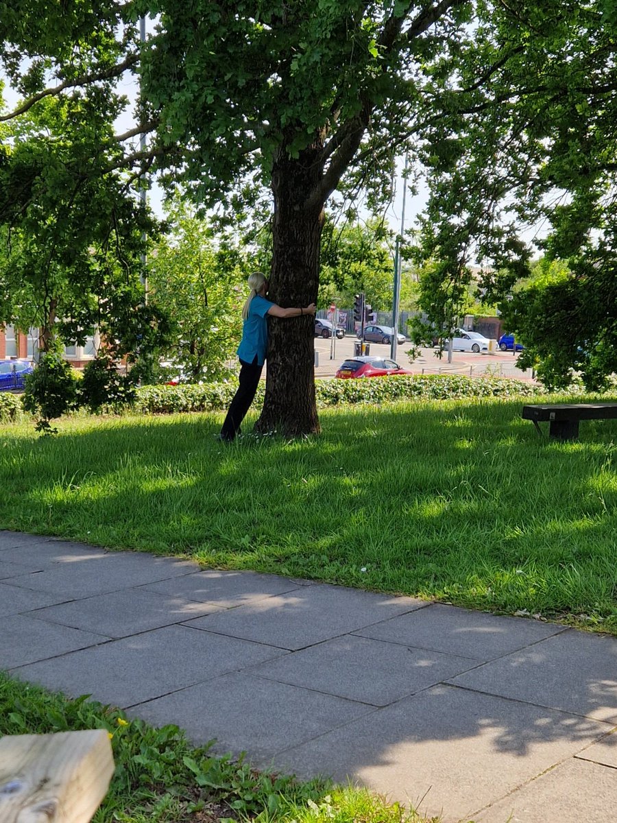 Rachael140671's tweet photo. #Freshair #sunnyday  ☀️#picnic in the hospital gardens with our lovely patient  #priceless 🌼🌸🦋 #treehugging 🌳 https://t.co/bJUDDKsqWC
