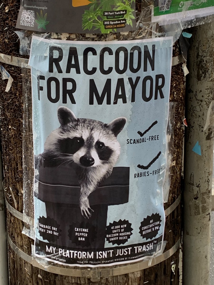 Finally a mayoral candidate we can all get behind. #TOpoli