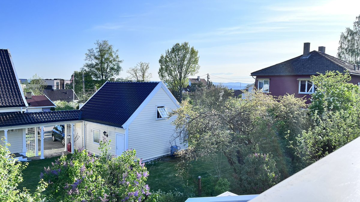 Norveç Oslo da müthiş bir hava var … 23 derece 😎🌞