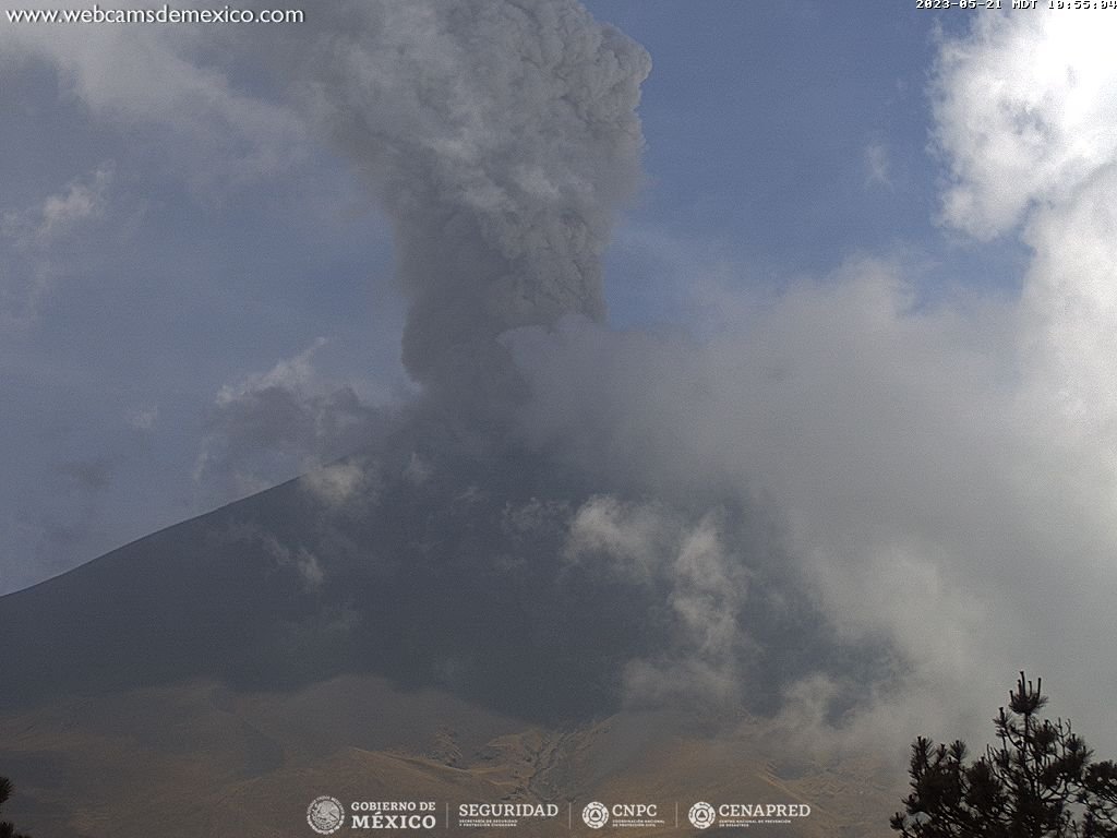 SkyAlertMx's tweet image. #ÚltimaHora | el nivel de alerta del #Popocatépetl cambia a Amarillo Fase 3🚦

Por recomendación del comité científico asesor de Cenapred, se eleva el nivel de alerta del Popocatépetl a amarillo fase 3.

El cambio en el nivel de alerta aún no contempla evacuaciones de las…