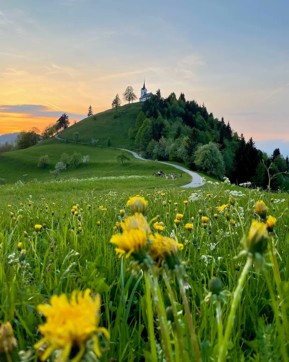 One of the cutest churches that’s located just outside Ljubljana. It’s especially beautiful in spring with flowering meadows around it. 📸 Exploring Slovenia