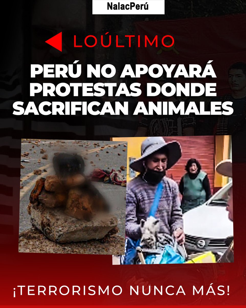 Perú le dice NO al maltrato animal y a las protestas con actos terroristas. 🚨

#NoaLaAsambleaConstituyente #terrorismonuncamás #NoalaAgendaComunista