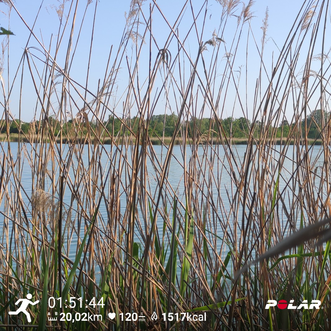 franzwolkow's tweet photo. Der Abschluss einer intensiven Trainingswoche. Morgen will Trainerroad noch VO2Max und dann endliche tapern 🧘
#apfellandtriathlon #halbdistanz #ÖSTM https://t.co/YT6REE0P7U