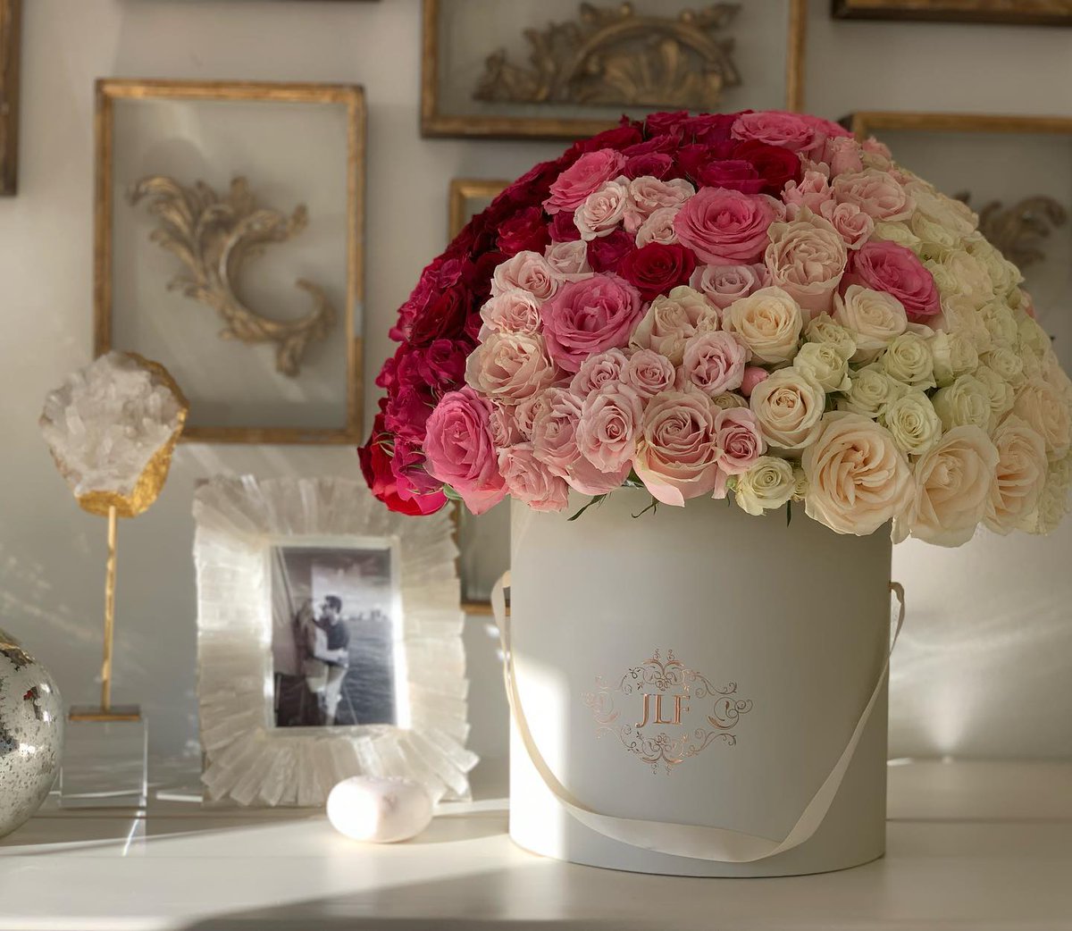 JadoreLesFleurs's tweet photo. The ultimate beauty in life… jadorelesfleurs https://t.co/VyjSX3FoRN