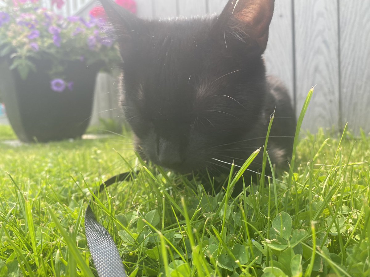 Jasper_ow tweet media