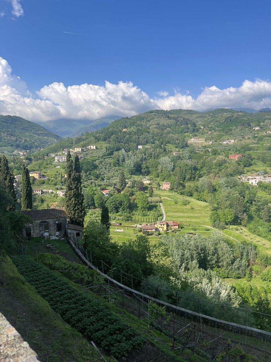 mariafcarreraa's tweet photo. Amazed by the places science has taken me! 🧬
#GRC #GRS #CancerGeneticsandEpigenetics https://t.co/kbSJOB3pVv