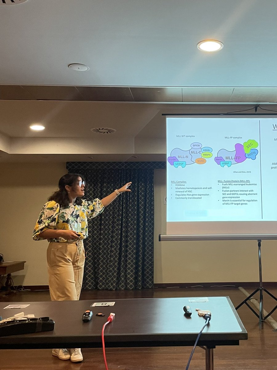 mariafcarreraa's tweet photo. Amazed by the places science has taken me! 🧬
#GRC #GRS #CancerGeneticsandEpigenetics https://t.co/kbSJOB3pVv