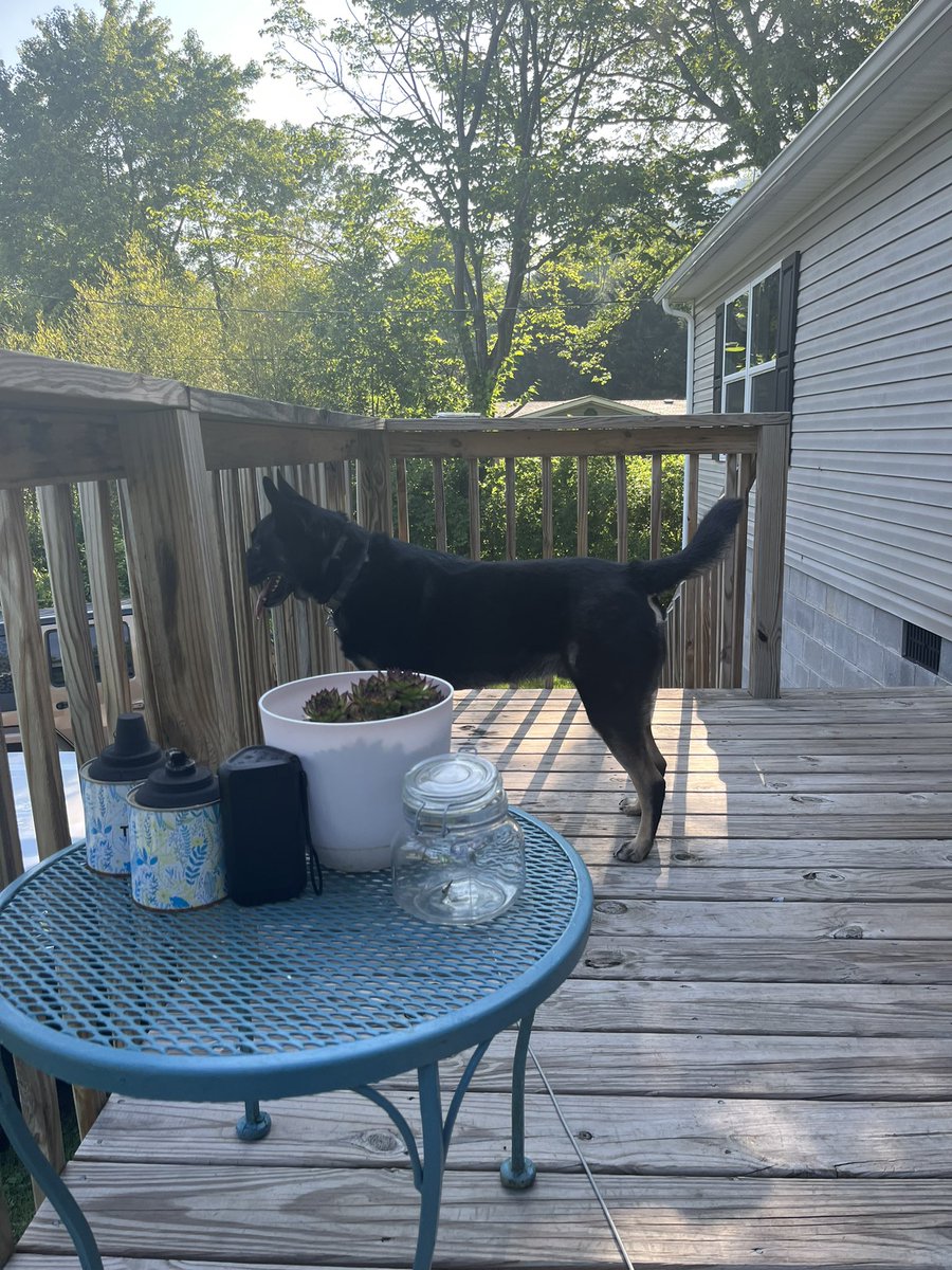 Chilled out on the front porch today.