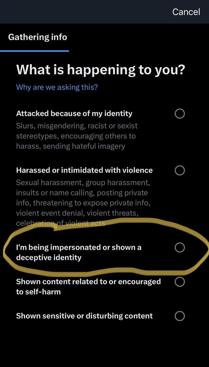 Kurt Giuliani PhD tweet media