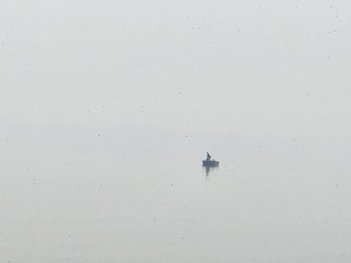 Smoke on the lake feels like we're in an episode of <a href="/InsideNo9_/">Inside No.9</a> <a href="/AQNIN9/">A Quiet Night Inside No 9</a> @ReeceShearsmith <a href="/SP1nightonly/">Steve Pemberton</a>