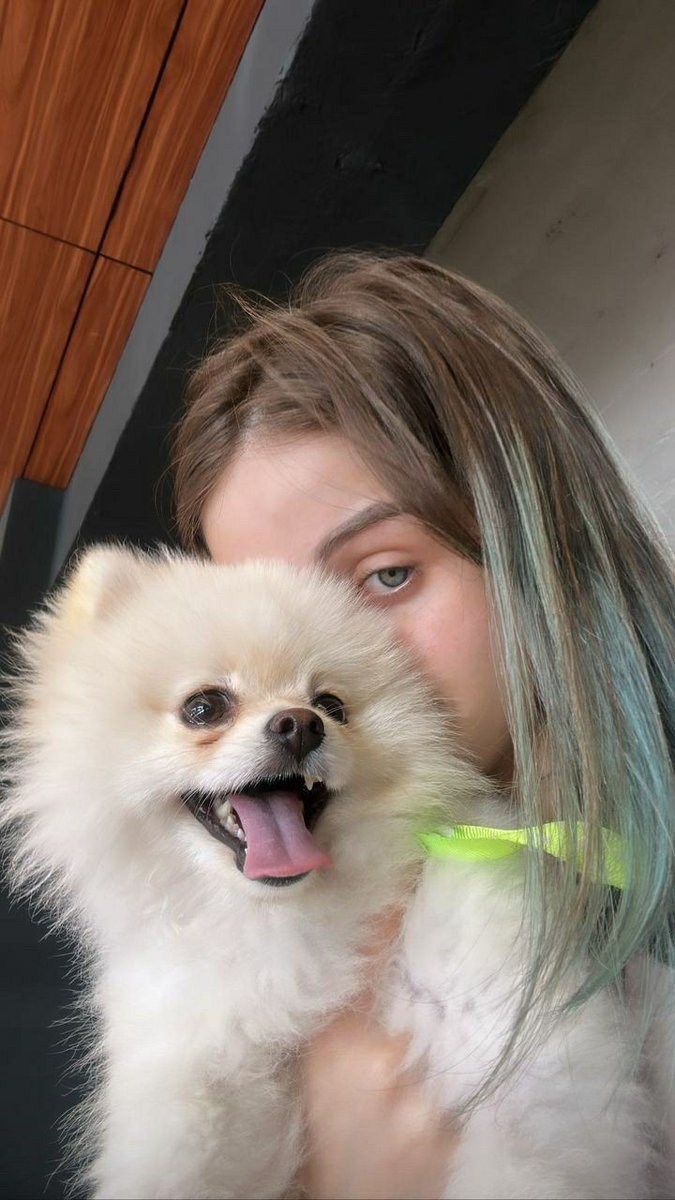 dogfranchesco's tweet photo. Mais uma fotinha 🥹💜
@marianicollyy https://t.co/P84ofnJgTa