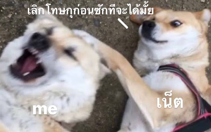 โทษหมดไมสนเน็ตค่ายไหน #ไอจีล่ม