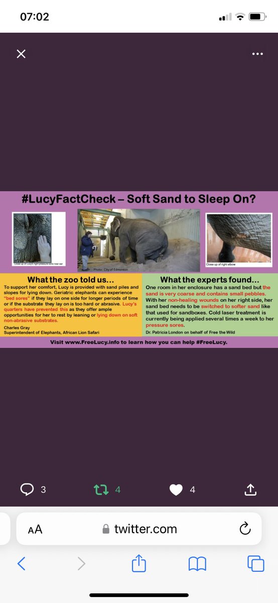 @ILoveLucyYeg @AmarjeetSohiYEG @EdmontonClerk @gdewar No ventilation No drinking water No fresh food No Arthritis care No where to exhibit normal 🐘behaviours locked in a dark dusty cage for 16 hours a day. BREAKS Criminal LAW #AlbertaDebate Has Lucy safe soft bedding yet ? #Albertavotes