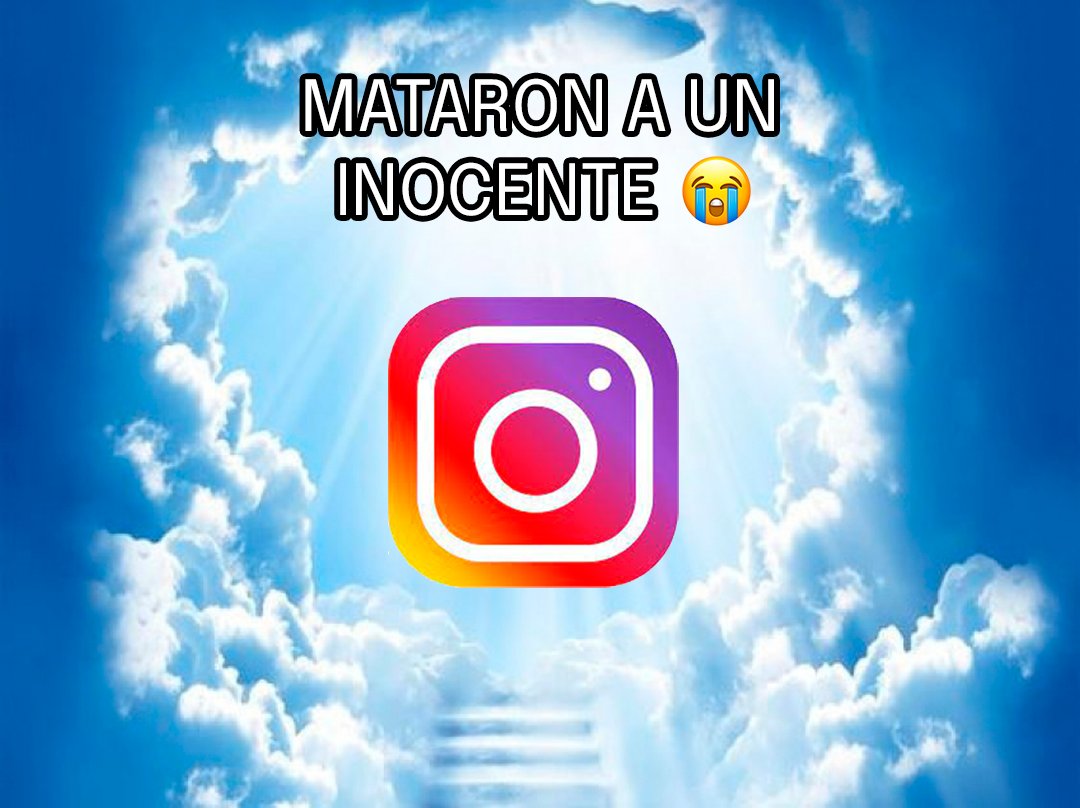 fitchinGG's tweet photo. @porquetendencia Vuelta alto Instagram 🙏 https://t.co/MouAAmLcUM