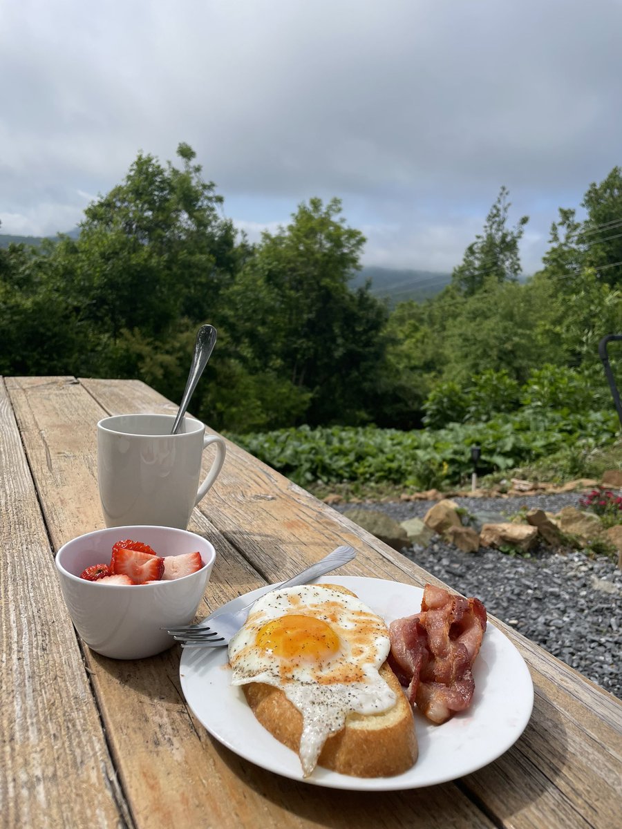 ShanksFanClub's tweet image. 🏔️