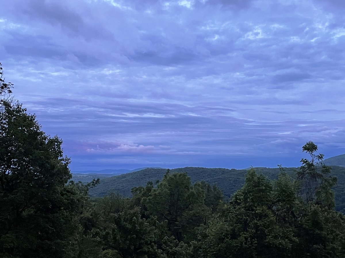 ShanksFanClub's tweet image. 