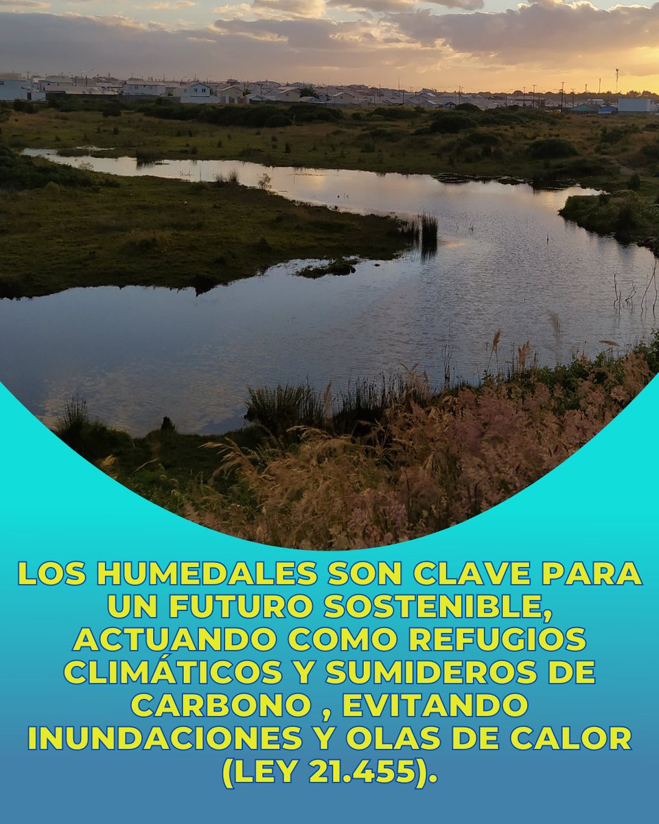 FutaMapu's tweet photo. manifestamos nuestro total rechazo al fallo del 3° tribunal ambiental de Valdivia, dicho fallo ❌ANULO ❌la declaratoria del 1° Humedal Urbano decretado en Alerce🏞️, sin considerar el valor ecológico, educativo y ancestral del humedal. https://t.co/fQ2k7GO3cv
