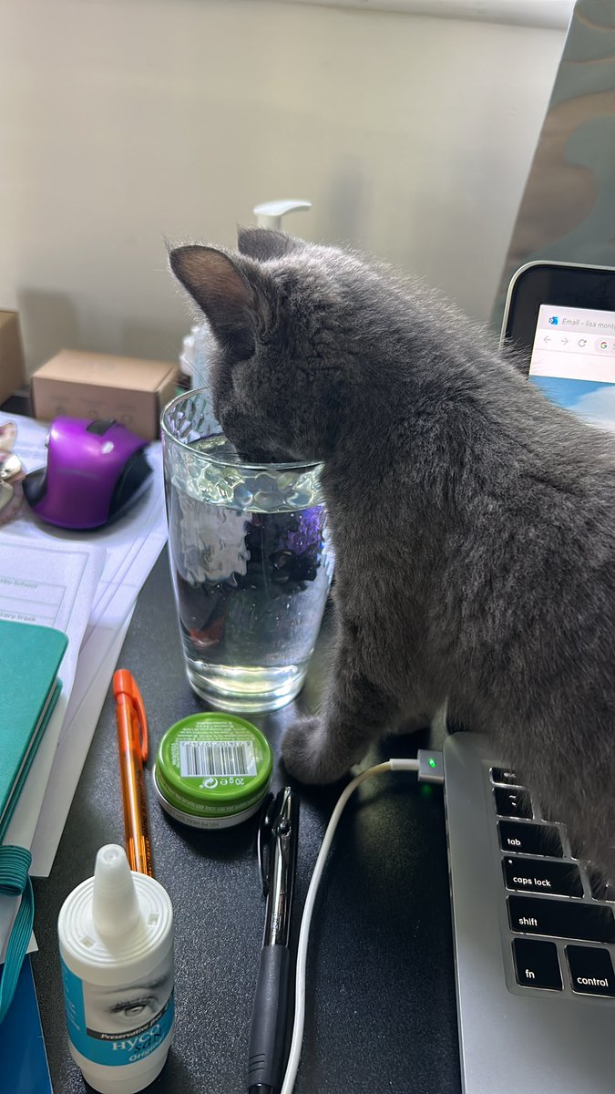Lisa_Montgee's tweet photo. My new co-editor is not putting his heart into this writing lark! #WritingCommmunity #writers #writingcrime #catcoeditor https://t.co/XqZLRjUR9G