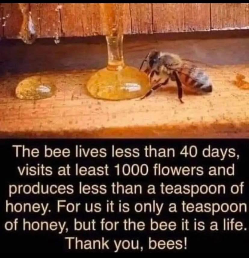 router_guy33's tweet photo. @StephensVina @donkoclock @thegreatgig8 @DarlaStephen2 @VincenzoNYC2022 @Krissie_Lee @ZenPeace @SammyAce17 @rafannie @Elizabetmore7 @Phydeauz @quadcarl @isabeldanieljax @JewsSocial @vixey_voter @Iceland_Goddess @wendyliz21 @MelodieWager @harshmanc @DebeBrown54 @nicbasarab Good day all https://t.co/B1dZnL5SIf