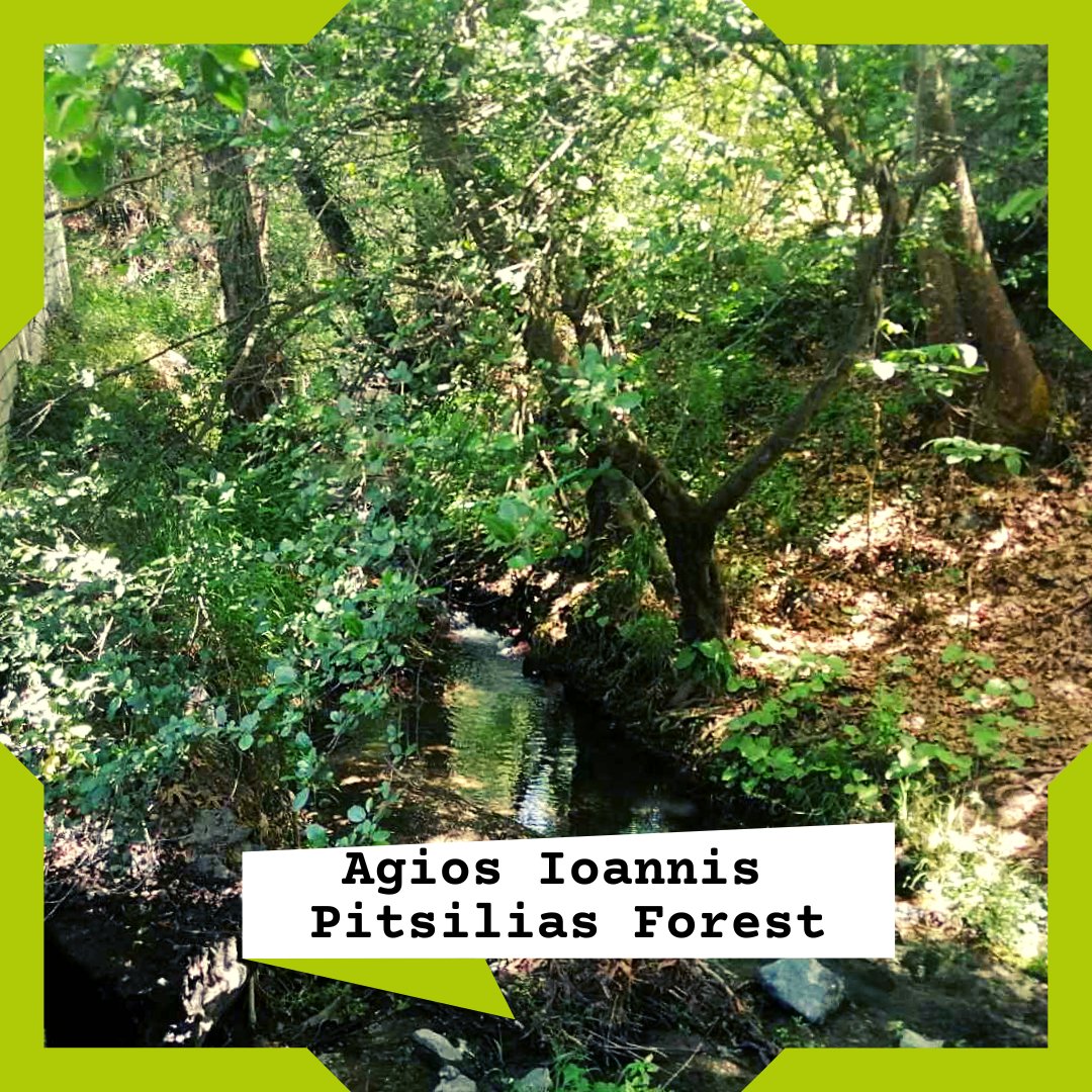 On 26 and 27 May 2023, The Cyprus University of Technology - Department of Fine Arts, presents the “Creative Sustainability-in-Practice” two-day workshop in #cyprus!

Don’t miss out on this free event and register today! Google Form: forms.gle/qPhE1GC8A329ay…