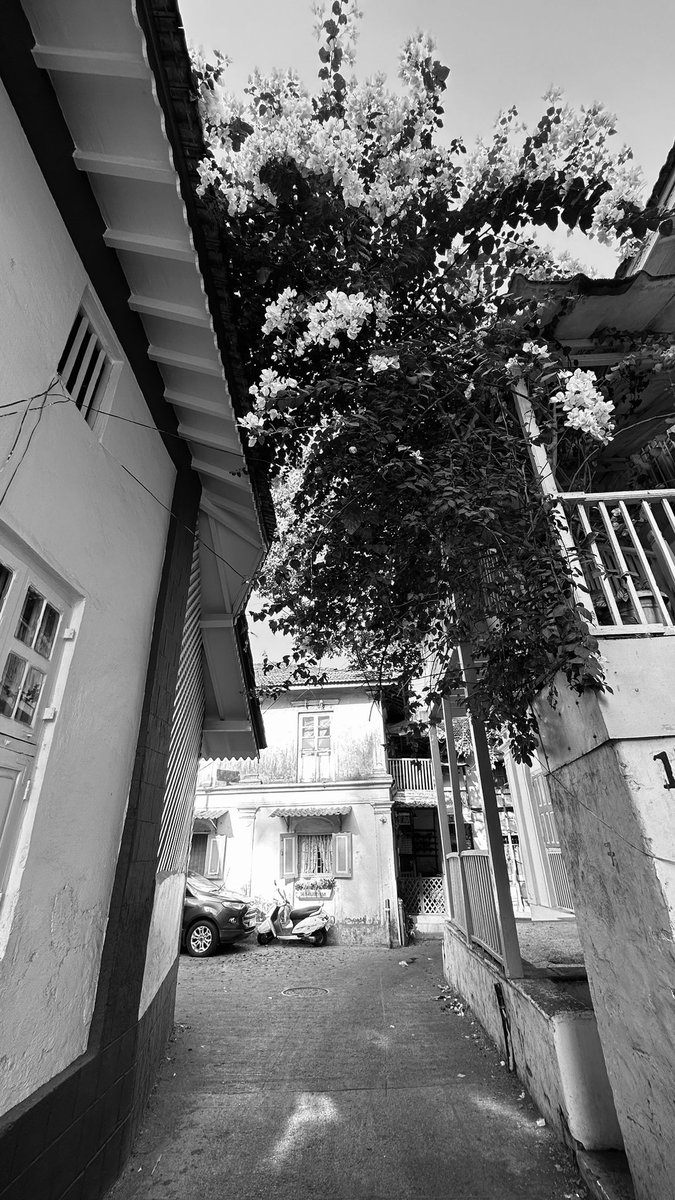 mayursakhare's tweet photo. Bandra through my lenses 🤍 https://t.co/PIwX1TsDug